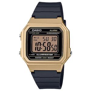 Casio Men's Classic Digital Watch with Gold Accents - W-217HM-9AV